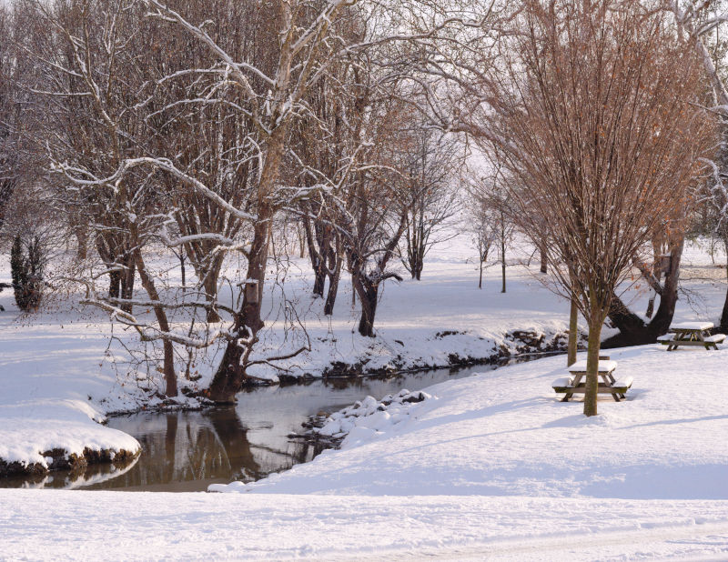 Cooks Creek Arboretum, January 8th