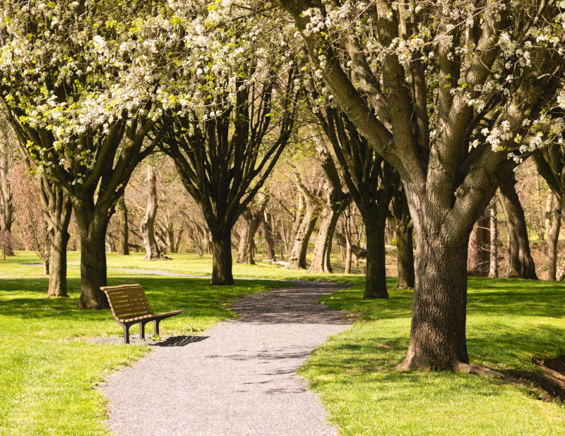 Cooks Creek Arboretum, April 2nd