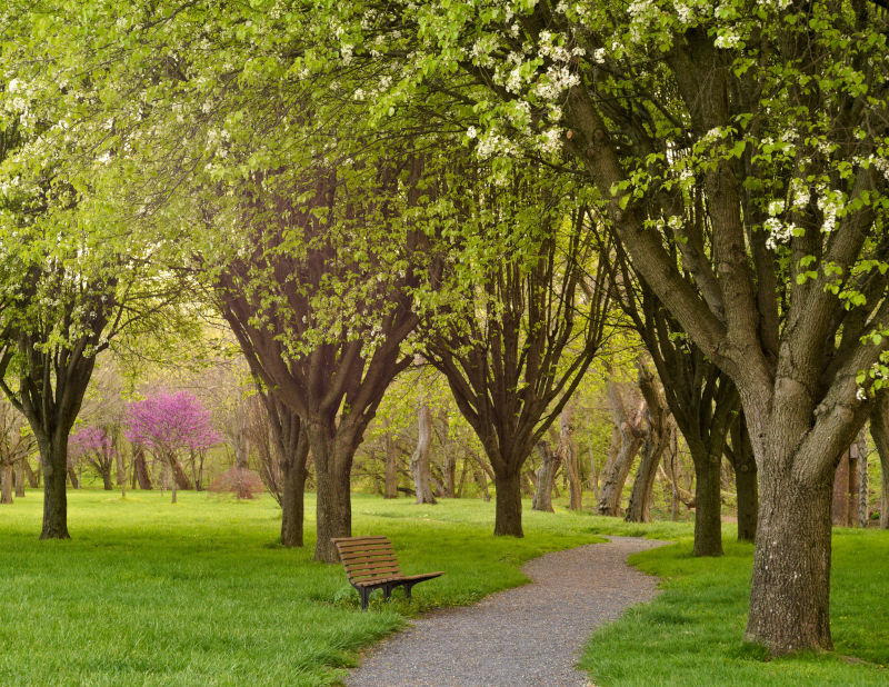 Cooks Creek Arboretum, April 18th