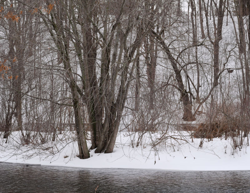 Cedar Side Walking Trail, March 14th