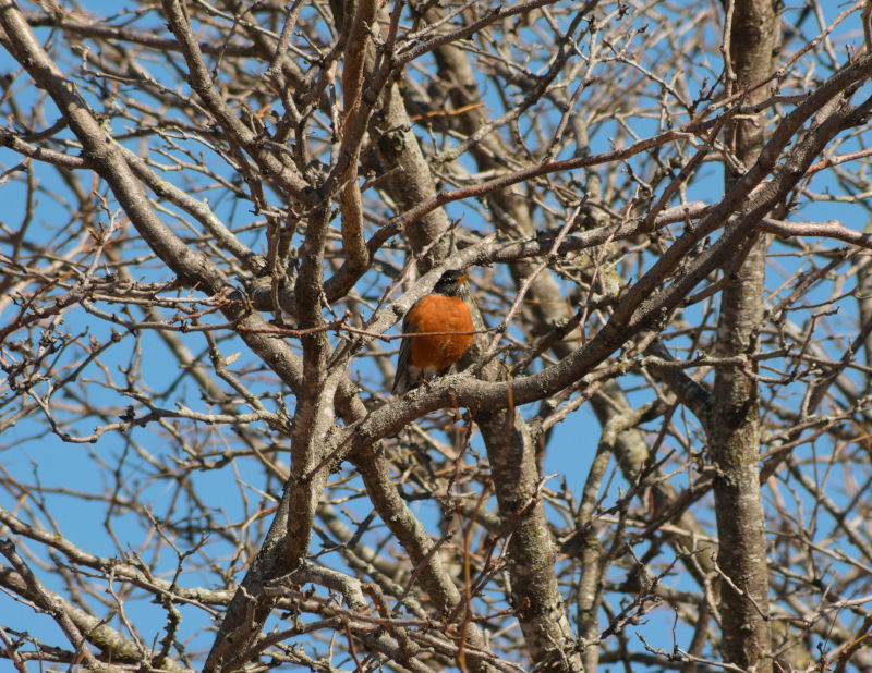 Barron, Wisconsin, April 3rd