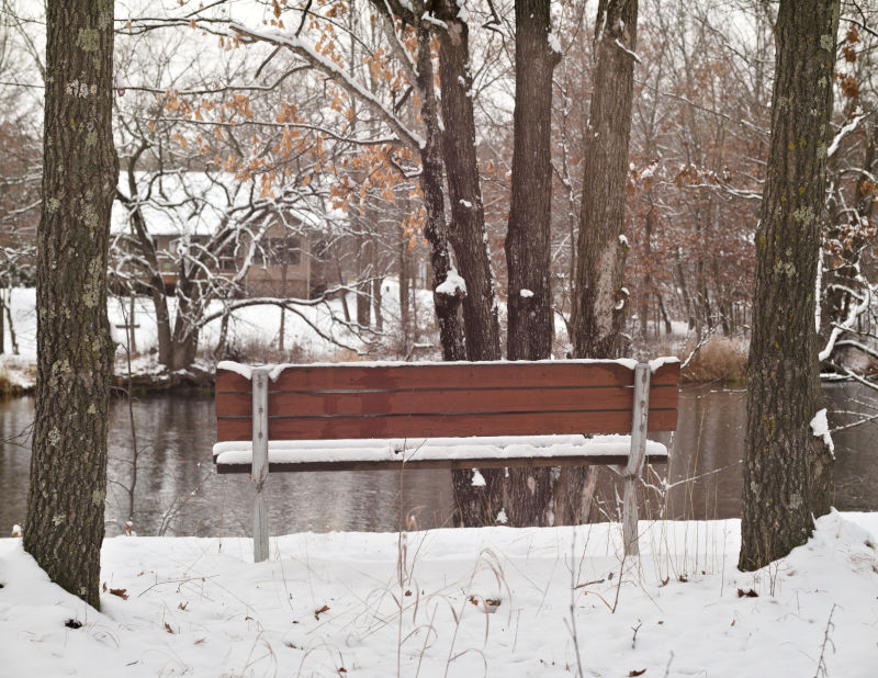 Cedar Side Walking Trail, November 16th