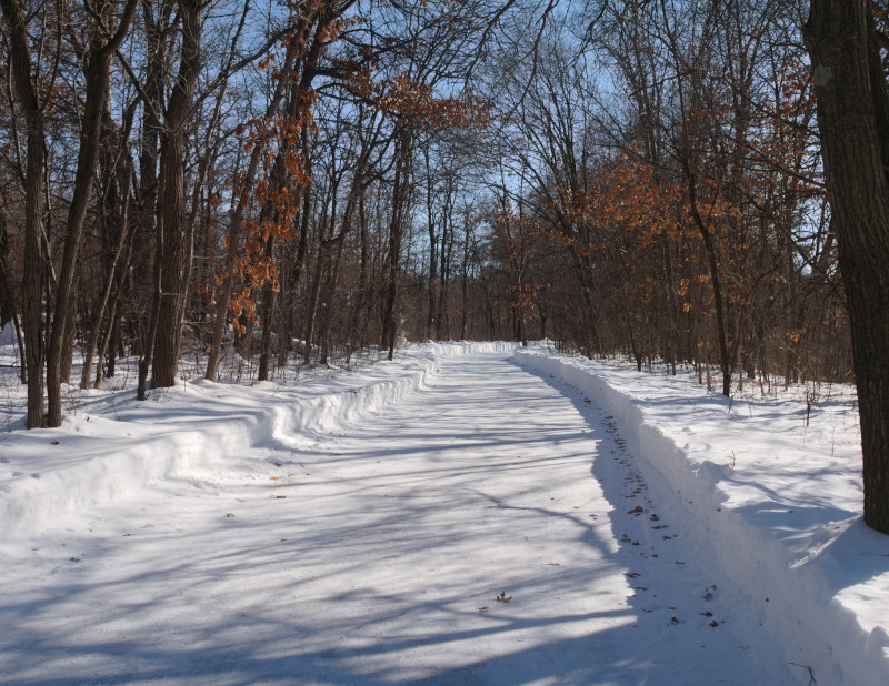Cedar Side Walking Trail, February 8th