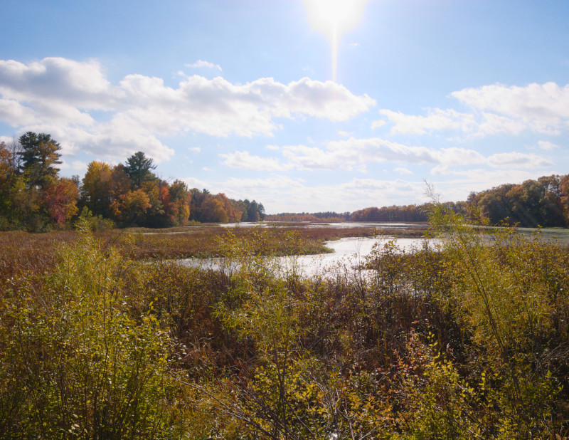 Cameron Flowage, October 20th