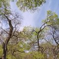P1000008.jpg