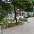 P1000002.jpg