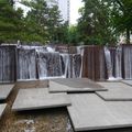 P1000008.jpg