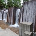 P1000017.jpg
