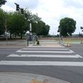 P1000019.jpg