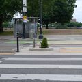 P1000020.jpg