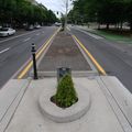 P1000021.jpg