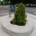 P1000023.jpg