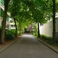 P1000027.jpg