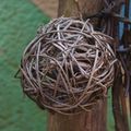 P1000041.jpg