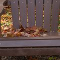 P1000045.jpg